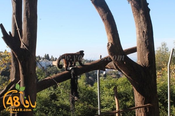 re7la 7eifa (72).JPG